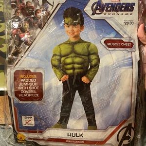 COPY - Hulk Costume